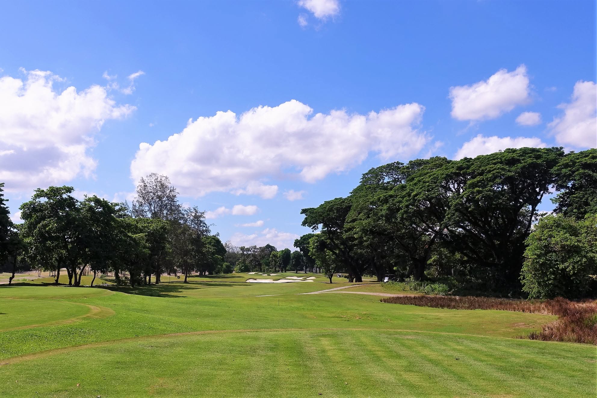 Mimosa Plus Golf Course editorial view 2